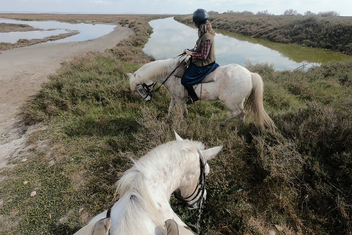 Team building Camargue