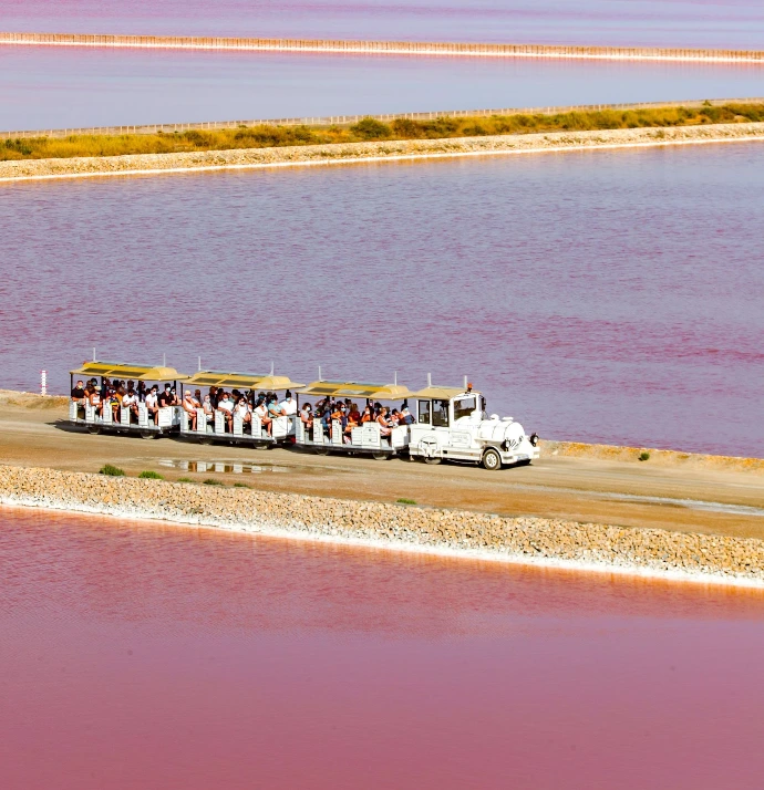 Bassins du Salin d'Aigues-Mortes au cœur de la Petite Camargue
