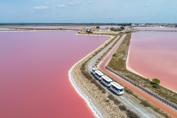 Eau rose caractéristique du Salin d'Aigues-Mortes