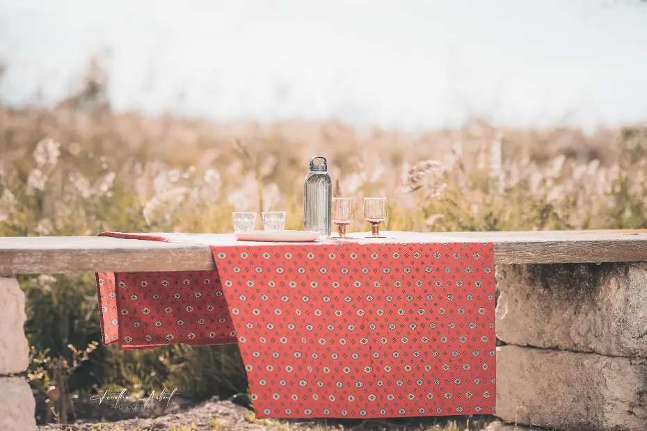 Séjour et événement en Camargue — organisation de repas champêtres, séminaires nature et mariages en plein air au cœur des paysages camarguais.