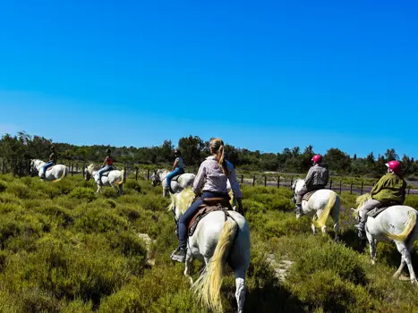 Balade à cheval dans les marais